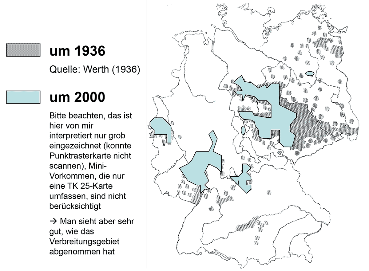 Feldhamsternachweise in Deutschland 1936 und 2000. | Karte: Werth (1936) / Ubbo Mammen