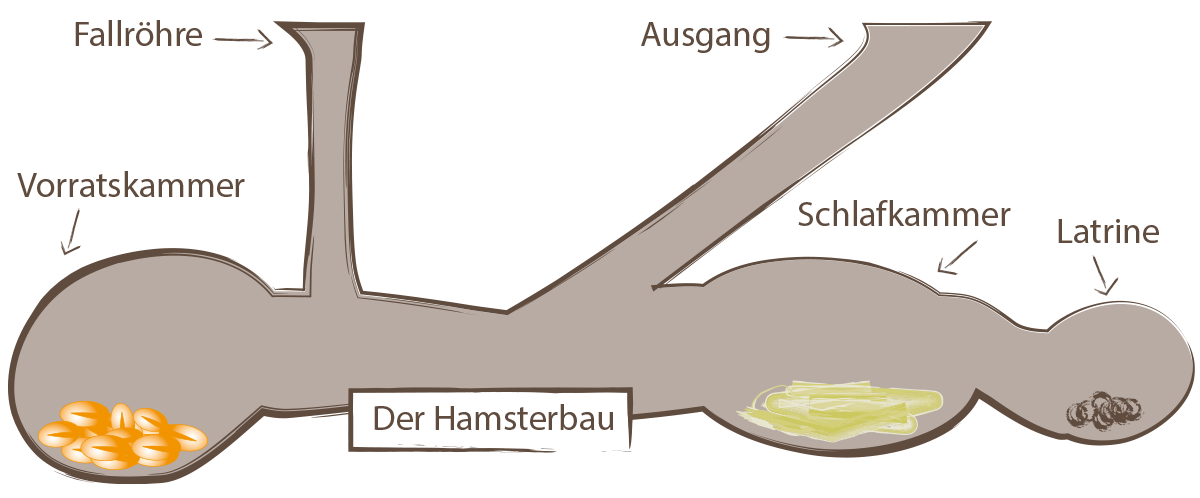 Hamsterbau. | Grafik: Uwe Schroeder